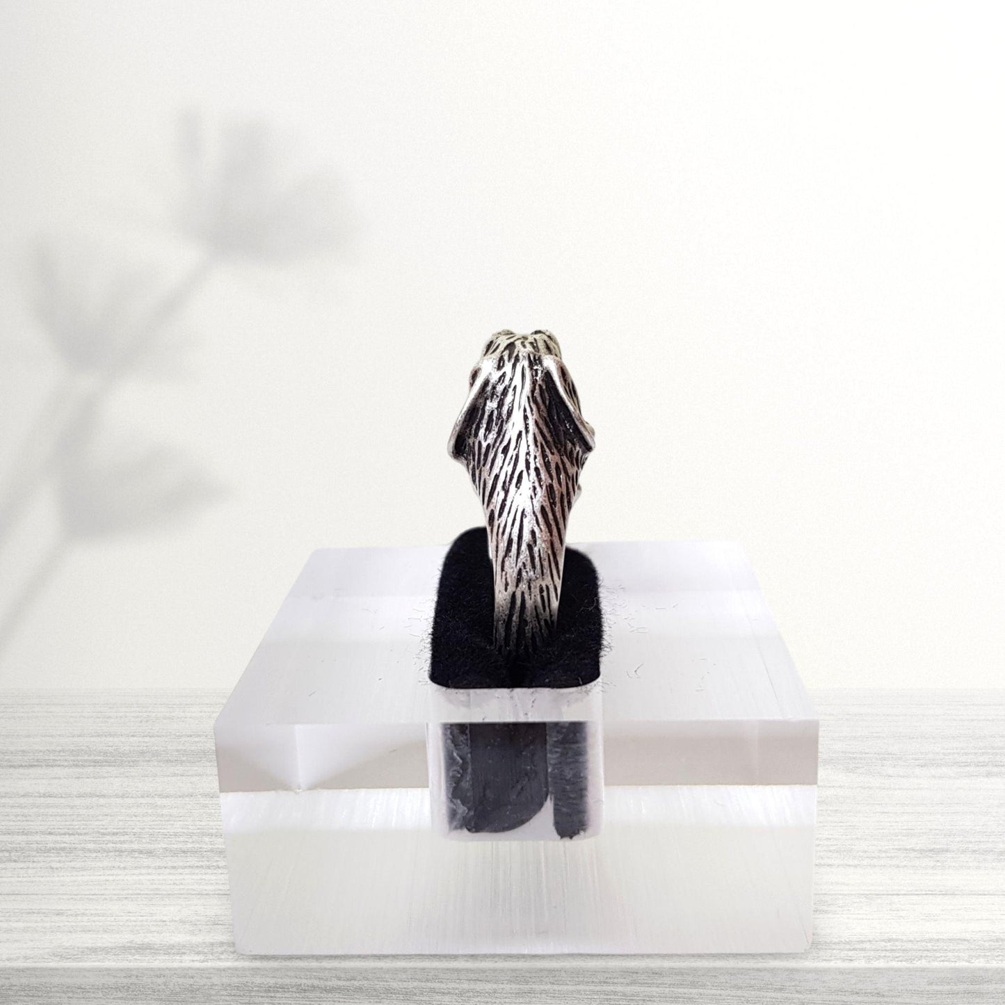 back view of dachshund wiener silver ring