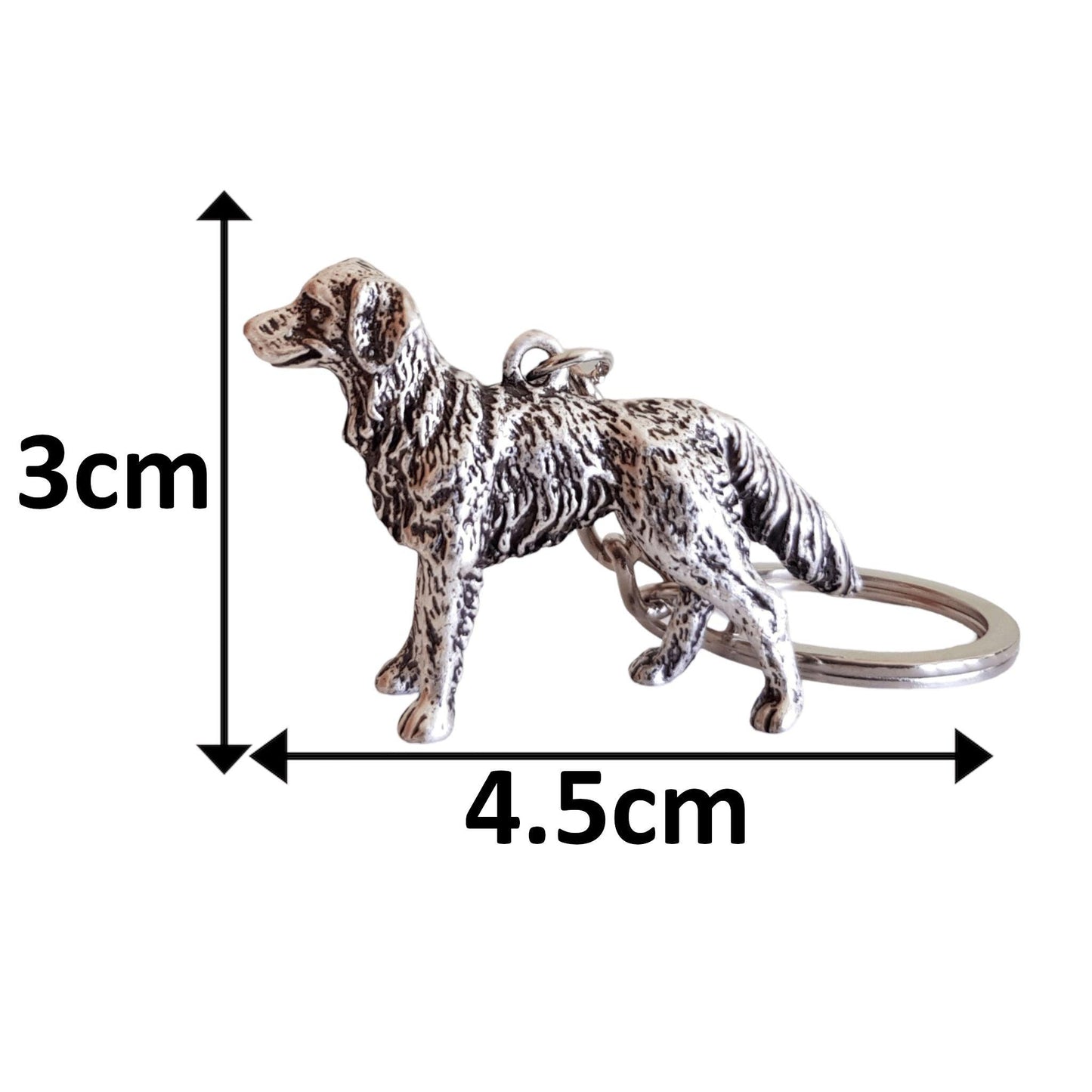 Labrador Retriever antique silver Keychain dimensions DoggoZone