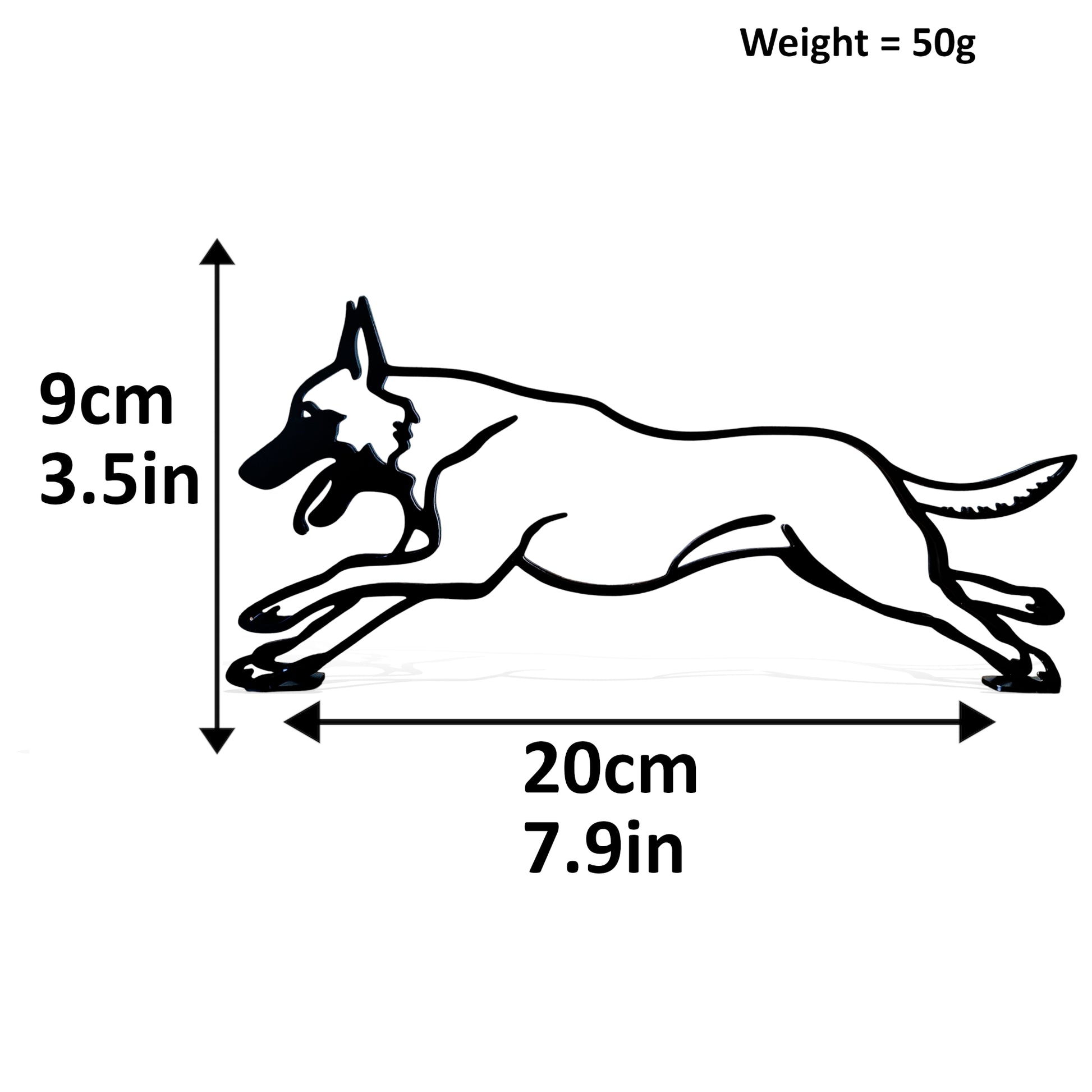 dimensions for belgian malinois dog statue