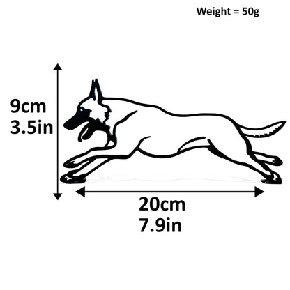 dimensions for belgian malinois dog statue