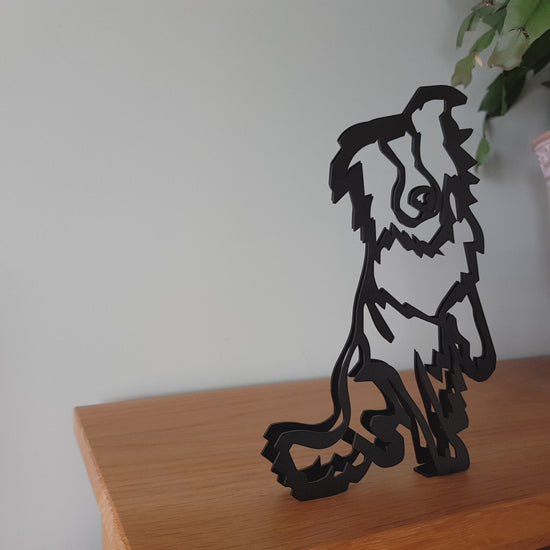 Australian Shepherd Dog Statue Video