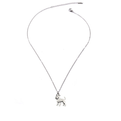image of stainless steel necklace with silver schnauzer dog charm